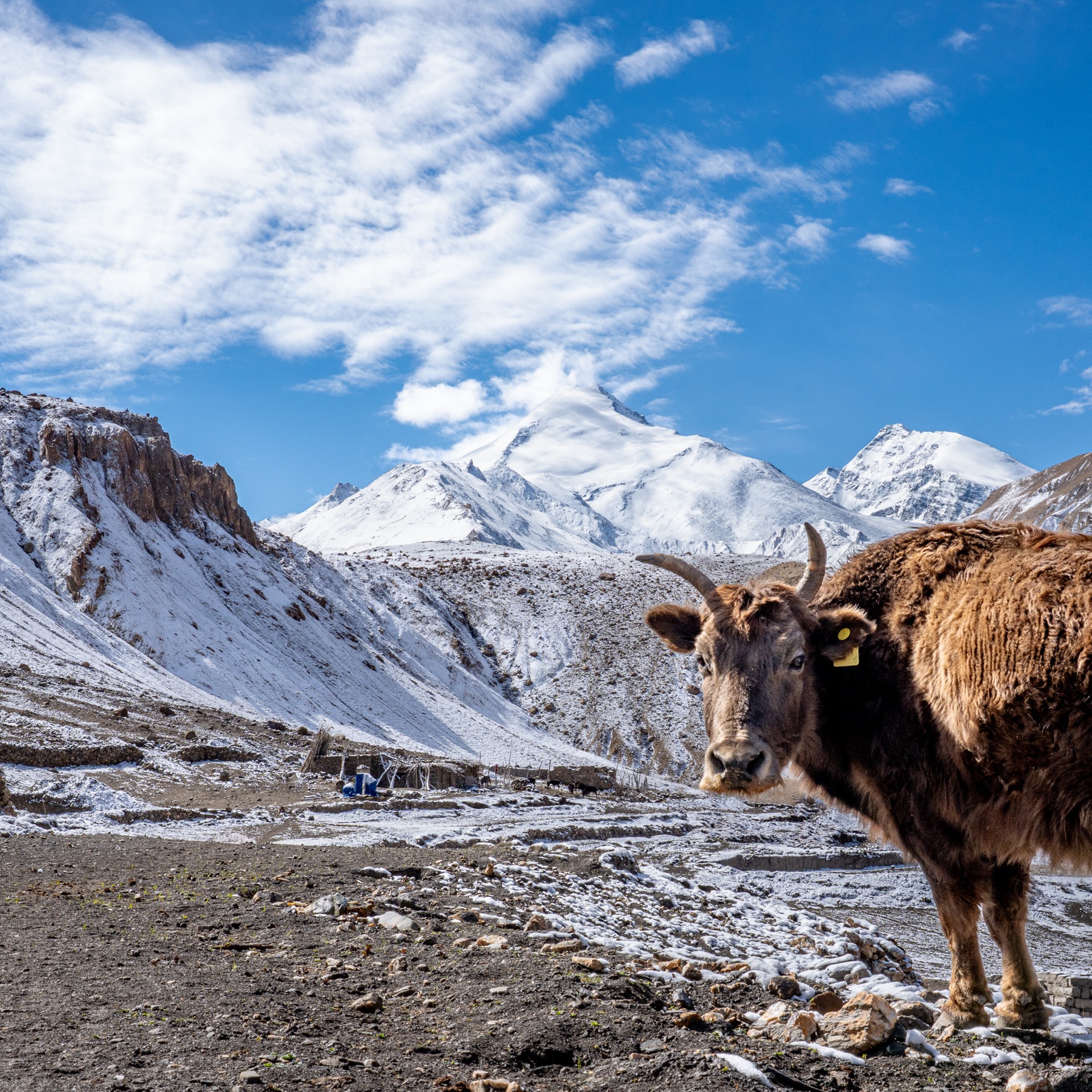 Travel fotografie